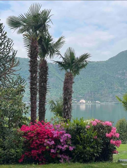 Appartamento Con Piscina E Sauna Bissone Exterior foto